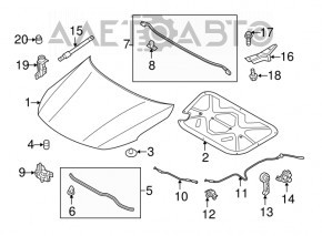 Hood seal rubber Kia Optima 11-16