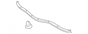 Hood seal front Toyota Camry v50 12-14 usa