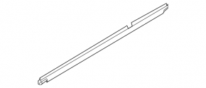 Rear left door glass seal Infiniti G25 G35 G37 06-14