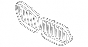 Radiator grille BMW X6 G06 20-25 2024-25, m60i