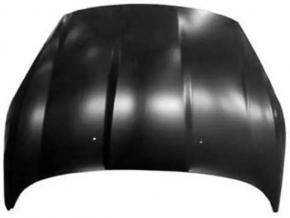 Hood naked Ford Fiesta 11-19 USA