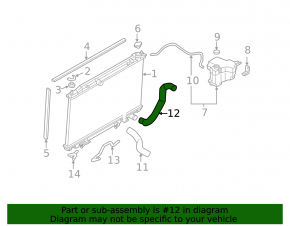 Lower cooling hose for Nissan Murano 2003-2007