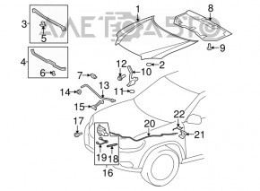 Hood seal front Toyota Highlander 11-13