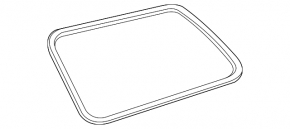 Window seal blind glass rear left Toyota Sienna 11-20