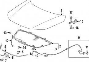 Honda Accord 23- Hood Insulation