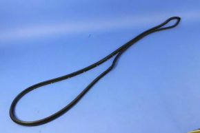 Chrysler 200 15-17 Front Left Door Seal