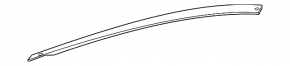 Molding door-glass central rear right Nissan Sentra 20-24 chrome