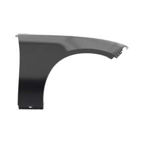 Front right wing Dodge Charger 15-20 rest