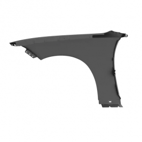 Front right wing Dodge Charger 15-23 rest