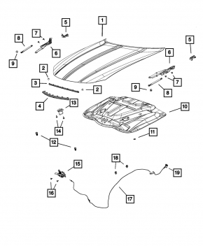 Naked hood Dodge Charger 15-20 rest