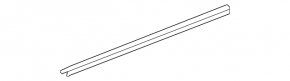 Acura MDX 14-20 rear left door seal lower