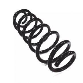 Rear left spring VW Beetle 12-19