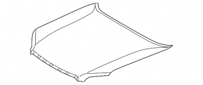 Lexus GX460 10-23 bare hood