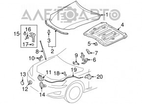 Hood shock absorber left Lexus IS250 IS350 06-13