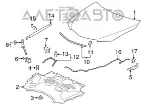 Bare hood Acura TLX 15-17 prerest