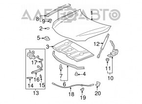 Hood-wing seal left Toyota Camry v40