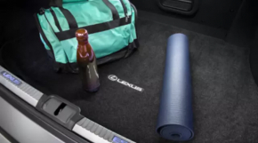 Fabric trunk mat Lexus ES 19-26 black