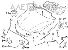 Front hood seal BMW X5 F15 14-18 on bumper