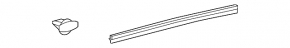 Door seal rear right Toyota Camry v50 12-14 usa lower