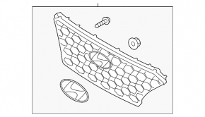 Radiator grille assembly Hyundai Santa FE 21-23 with badge, chrome under the camera