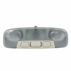 Front light Ford Ecosport 18-22 under sunroof, grey