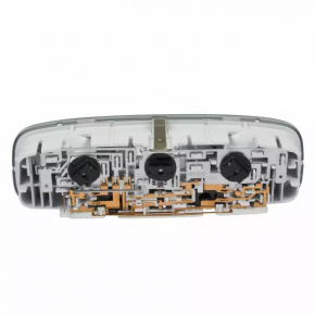 Front light Ford Ecosport 18-22 under sunroof, grey