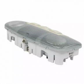 Front light Ford Ecosport 18-22 under sunroof, grey