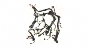 Toyota Rav4 22-25 Hybrid Engine Wiring