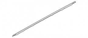 Molding door-glass central rear left Kia Forte 19-24 4d chrome
