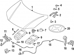 The bare hood of the Hyundai Ioniq 6 23-25