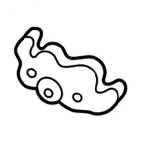 Ventilation shield left small Ford Escape MK4 20-