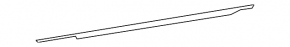 Door-glass molding, central front right, Nissan Altima 13-18, chrome