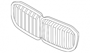 Radiator grille BMW X7 G07 19-25 2023-25, with shadow line