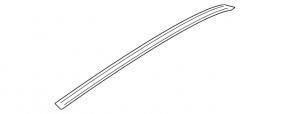 Roof molding left Genesis G80 17-20 black