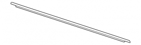 Molding door-glass center front left Volkswagen Atlas 18-26 chrome