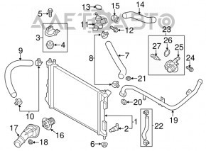 Upper Cooling Hose Hyundai Veloster 12-17