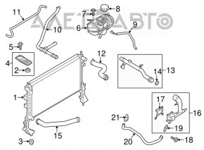 Lower cooling pipe Mustang mk6 15-23 2.3T