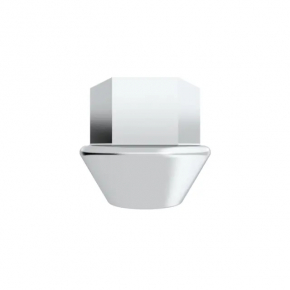 Wheel nut d22 M14x1.5 Dodge Charger 11-20 for iron