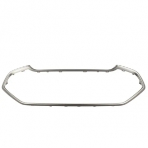 Frame of radiator grill grill Ford Ecosport 18-22 silver
