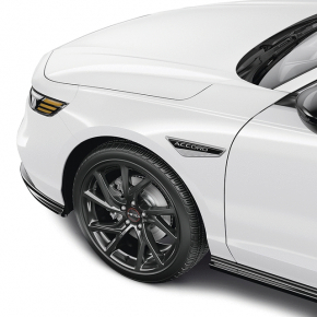 Set of 2 Honda Accord fender emblem moldings in graphite with gloss black (23-26)