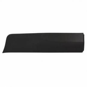 Ford Ecosport 18-22 lower rear left door trim structure