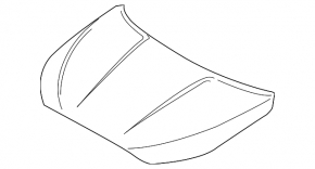 The bare hood of a 19-21 Hyundai Veloster