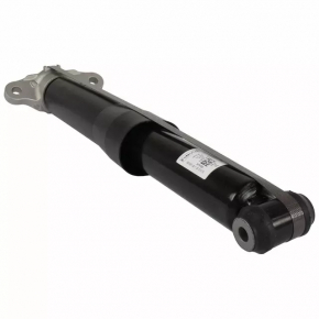 Shock absorber rear left Ford Escape MK4 20- hybrid, plug-In