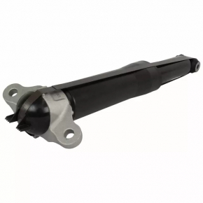 Shock absorber rear right Ford Escape MK4 20- hybrid, plug-In