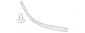 Hood Seal Toyota Sienna 11-20