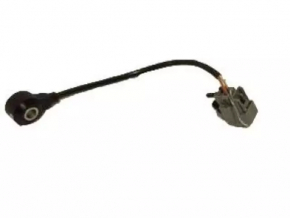 Knock Sensor Ford Ecosport 18-22 2.0