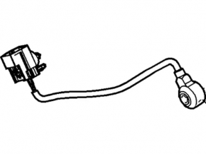 Knock Sensor Ford Ecosport 18-22 2.0