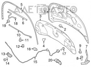 Naked hood Ford Explorer 11-15 prerest