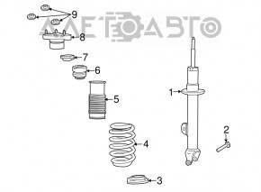 Front left spring Chrysler 300 11-23 RWD