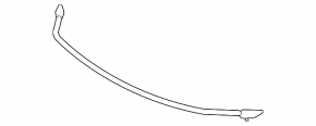 Upper grille molding for Lexus GS 16-19 F Sport, restyling, chrome